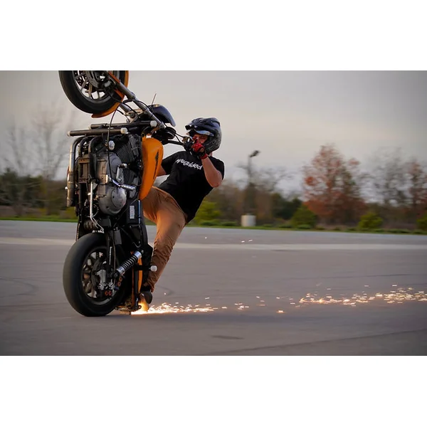 1986-2003 Harley Davidson Sportster Subcage with 12 Bar and Titanium Slider