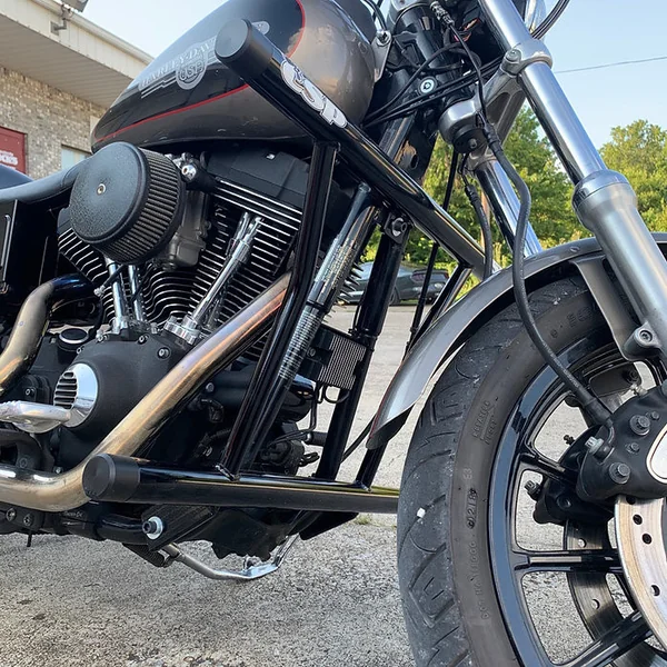 1999-2005 Harley Davidson Dyna Engine Cage