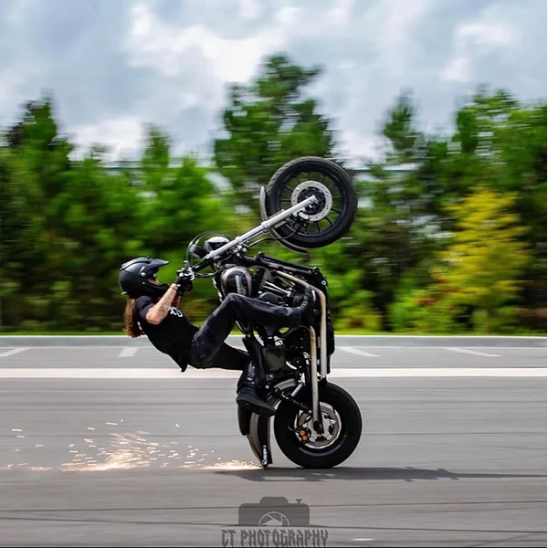 1999-2005 Harley Davidson Dyna Subcage with 12 Bar and Titanium Slider - Image 3