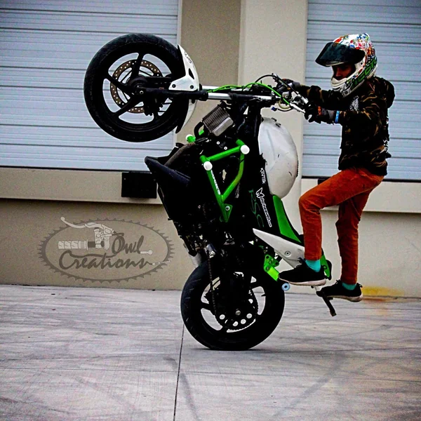 2011-Current Honda CBR 250/300 OG Cage