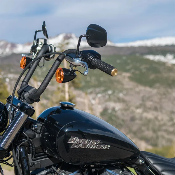 Arlen Ness Airtrax Grips for Harley Electronic Throttle - Brass - Image 2