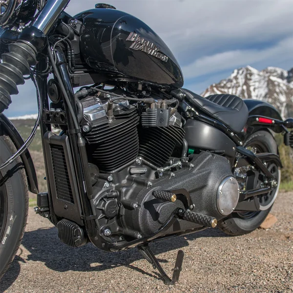 Arlen Ness Airtrax Shifter Peg for Harley - Brass - Image 2