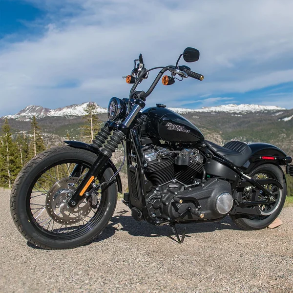 Arlen Ness Airtrax Shifter Peg for Harley - Brass - Image 4