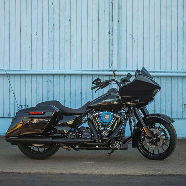 Arlen Ness Knurled Shifter Peg for Harley - Blue - Image 3