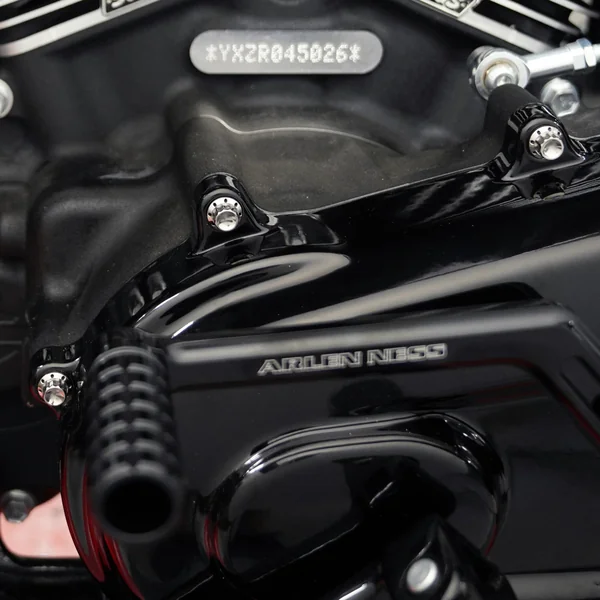 Arlen Ness Primary Cover Titanium 12-Point Bolt Kits for Harley - Polished - Image 4
