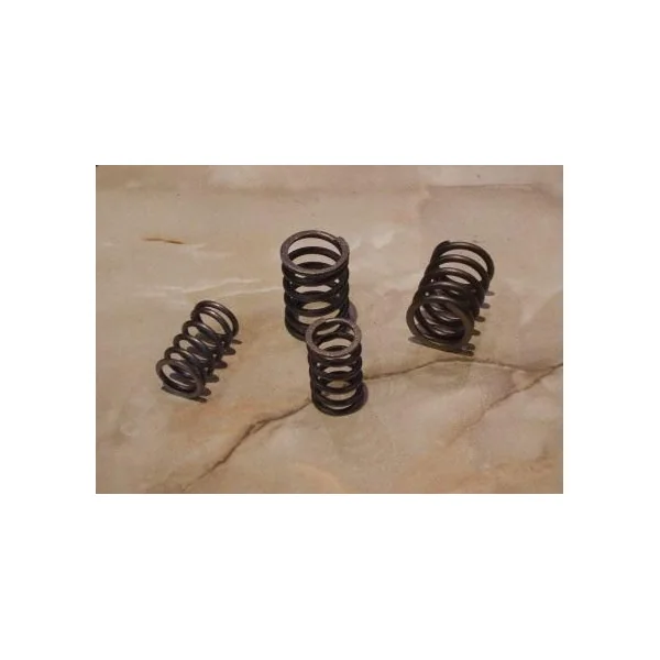 BSA C15SS, SS80, B44, B50 Valve Springs
