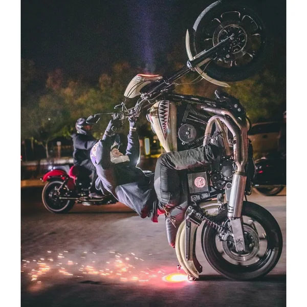 Bung King Squish Plate for Harley Sportster - Image 6