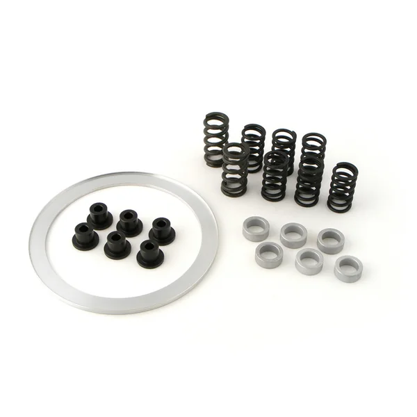 Clutch Cushion Kit ZX-10R (04-25)