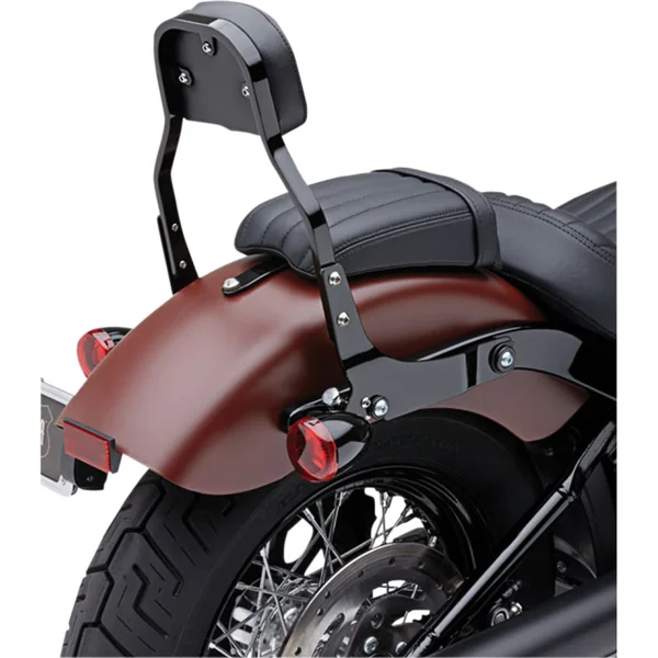 Cobra 14" Detachable Backrest Sissy Bar Kit for 2018-2021 Halrley FXLR - Black