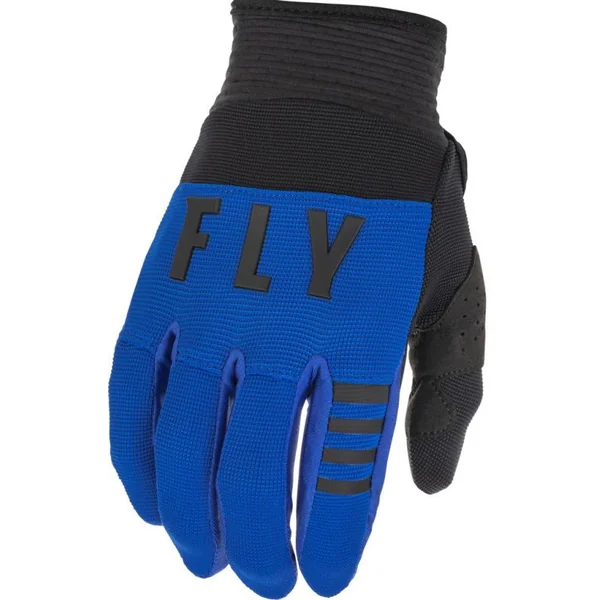 Fly Racing Youth F-16 Block Blue Gloves