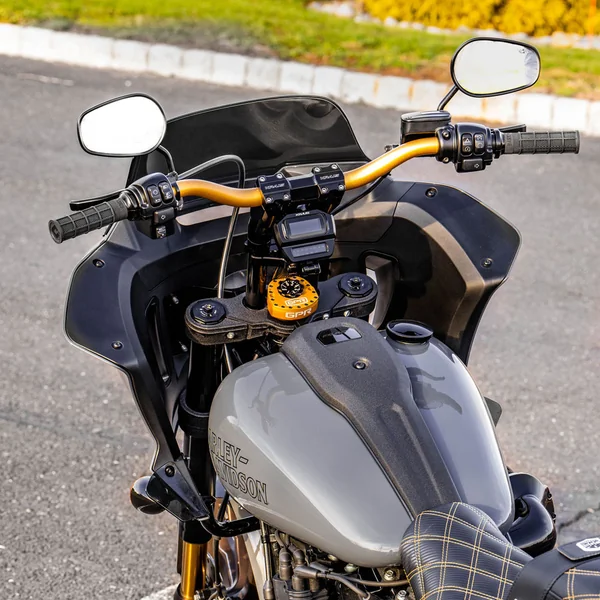 GPR V5-S Stabilizer Kit for 2020-2024 Harley Lowrider S - Gold - Image 4