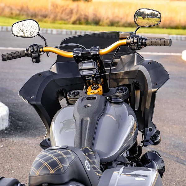 GPR V5-S Stabilizer Kit for 2020-2024 Harley Lowrider S - Gold - Image 5