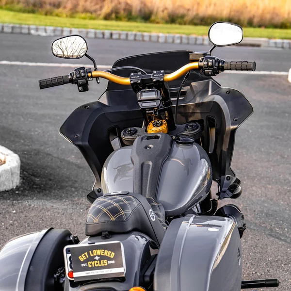 GPR V5-S Stabilizer Kit for 2020-2024 Harley Lowrider S - Gold - Image 6