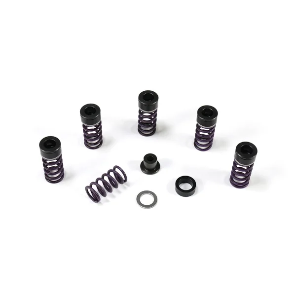 Heavy Duty Clutch Spring Kit ZX-10R (04-25)