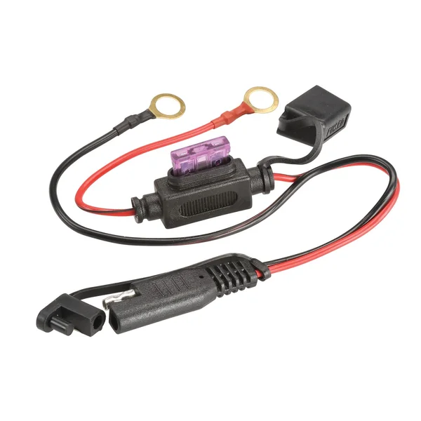 Projecta Battery Charger, 12V, 8.0A, 8 Stage Auto - Image 5