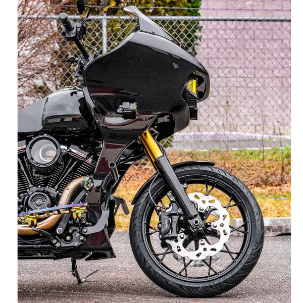 Pro-One 49mm Fork Tubes for 2014-2023 Harley Touring - Gold - Image 4