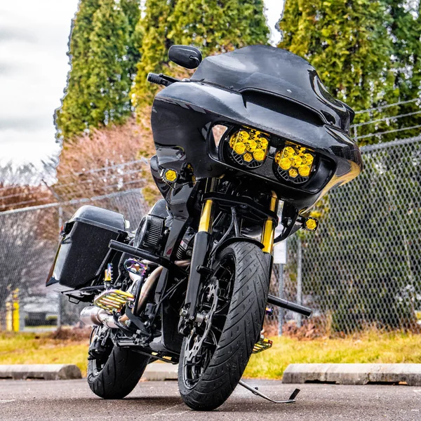 Pro-One 49mm Fork Tubes for 2014-2023 Harley Touring - Gold - Image 5