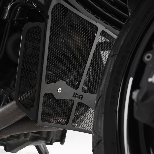 R&G Downpipe Grille for the BMW F900 R ’20-