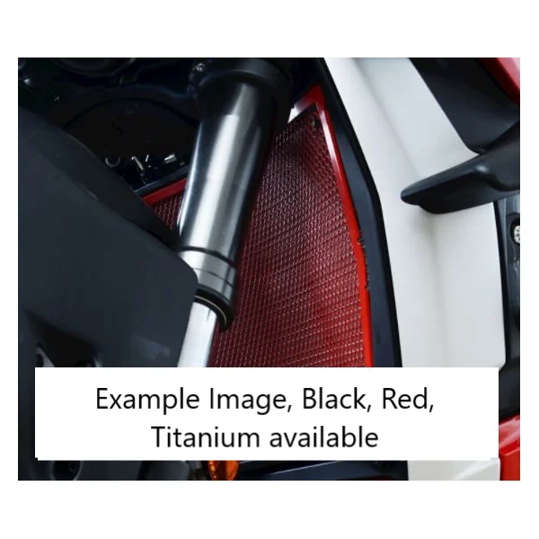 R&G Radiator Guard for Ducati Streetfigher V4 (S) ’20-