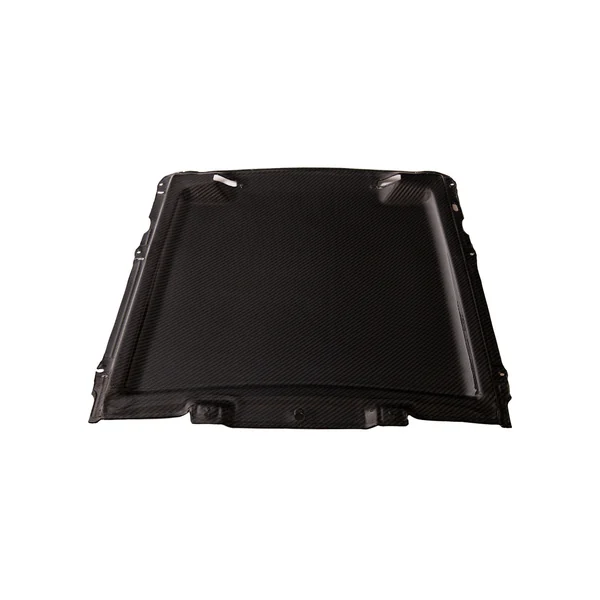 S550 Mustang Rain Tray Cover, Carbon Fiber2020-2022 Ford Mustang GT500