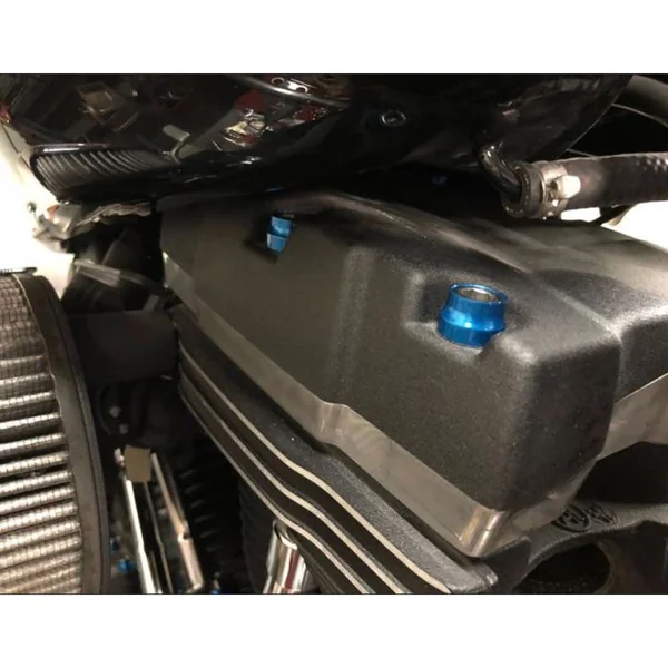 Santoro Fabworx Deluxe Chacho Engine Bolt Kit for Harley Twin Cam - Blue