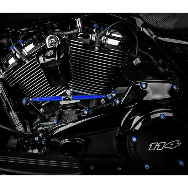 Santoro Fabworx Full Length Shift Linkage for 1984-2022 Harley Touring - Blue - Image 2