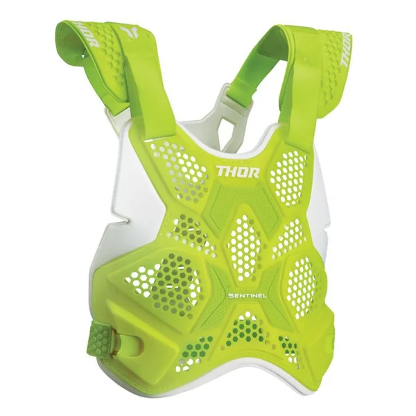 Thor Sentinel LTD Race Roost Deflector